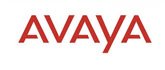 IT-Partner Avaya Communication